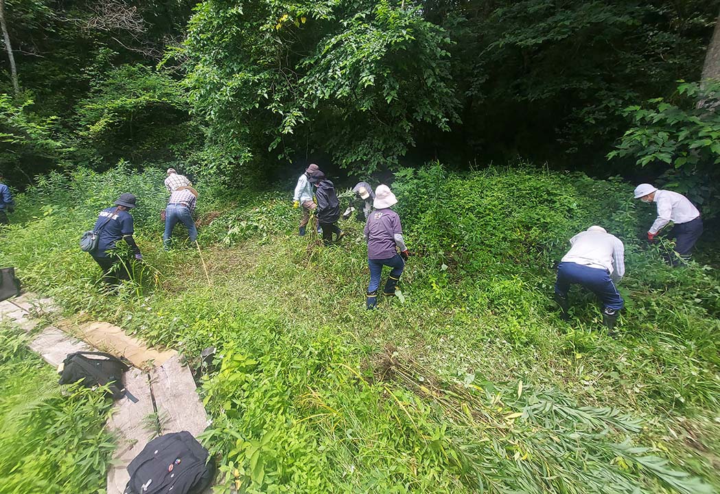 Park Partner Program activity at Hitachi Seaside Park (weeding) in progress