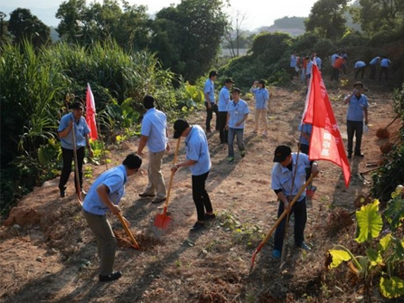 Tree planting