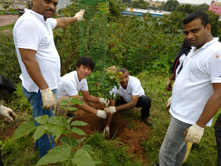 Tree planting