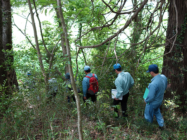 Vegetation survey at Katsuta Plant