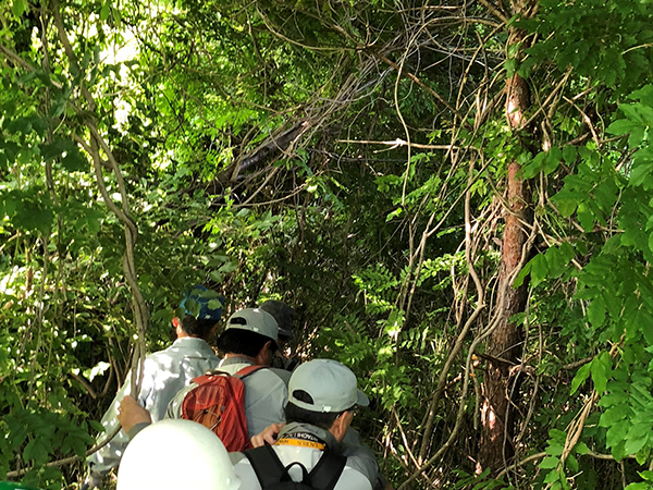 Vegetation survey at Sawa Plant