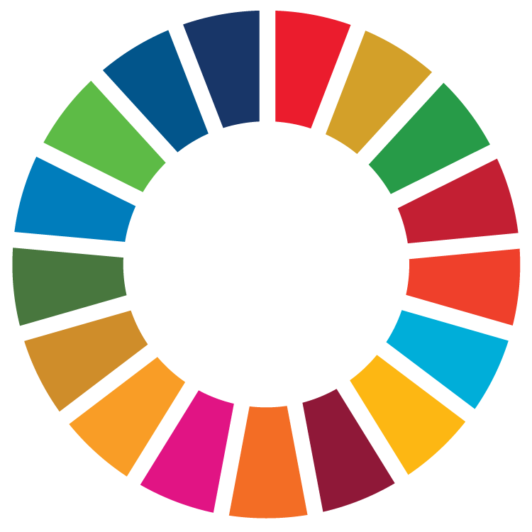 Decorative image of the SDG Goal colors